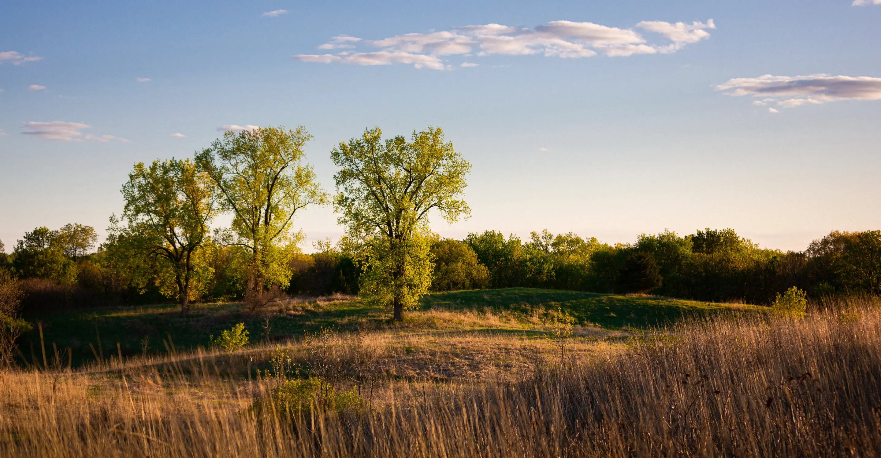 Sovereign Energy, Sovereign Economy: A Multi-Year Partnership with the Menominee Nation
